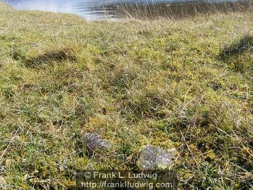Lough Talt, County Sligo